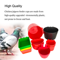 Mangeoire et abreuvoir multi-tailles pour animaux : lapins, pigeons, oiseaux, volailles, poulets