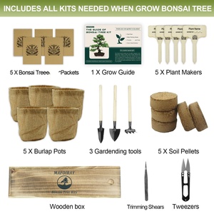 Kit de démarrage pour bonsaï <span class=keywords><strong>japonais</strong></span> en bambou carré 5X avec pots d'intérieur/extérieur pour la culture de bonsaïs à la maison ou au <span class=keywords><strong>jardin</strong></span> - Product Image 3