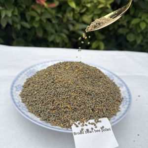 Polen de Abeja de Habas de Alta Calidad al por Mayor, Nuevo, Fresco, Materia Prima Natural, Polvo de Miel Puro y Fresco - Product Image 2