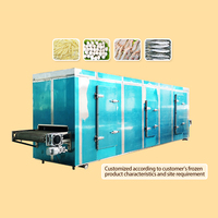 Tca Iqf Snelvriesmachine Continu Vriezer Ammoniak Tunnel Vriezer Vriestunnel Voor Vis Fruit En Frietjes