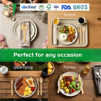 Échantillon gratuit d'emballages personnalisés, ustensiles compostables et biodégradables, grossistes en couverts en bambou