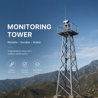 Torre de Vigilancia Galvanizada por Inmersión en Caliente Resistente a la Intemperie para Seguridad en Zonas Costeras y Montaje de Cámaras en Parques Industriales