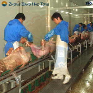 Équipement de <span class=keywords><strong>boucherie</strong></span> de porc des prix bon marché pour l'usine de transformation de porc - Product Image 6