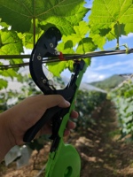 Machine à attacher les plantes agricoles OEM compatible avec le ruban standard et les agrafes 604C
