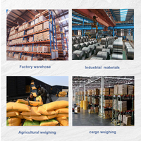 Báscula de Plataforma Industrial de Alta Resistencia, Báscula de Piso de Acero al Carbono de Alta Precisión con Pantalla LED Digital para Fábrica y Logística
