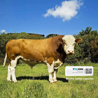 Bio capsula Lora Cría de animales Cría inteligente Cápsula de estómago de vaca (con Ph) Estado DE SALUD Lora Monitor ganado
