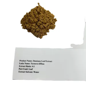 Super Damiana Leaf Extract Powder 4:1 10:1