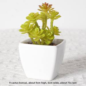Plantas de bonsái suculentas artificiales, arbustos verdes falsos de plástico, Mini <span class=keywords><strong>Echeveria</strong></span> maceta, decoración de escritorio, macetas suculentas Nórdicas - Product Image 6
