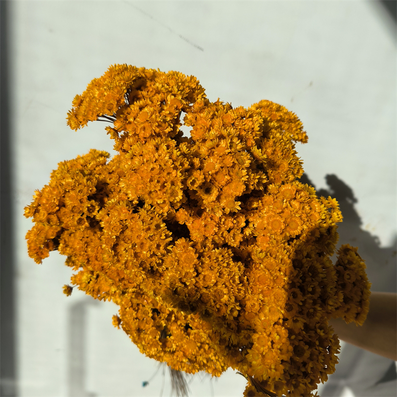 arancione scuro
