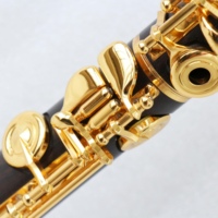 Flûte en ébène professionnelle 17 trous C clé flûte instrument plaqué or clés flûte