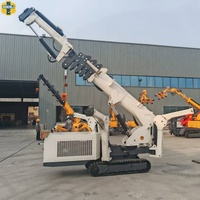Grue araignée mobile Shenli 1,2T-12T à flèche télescopique 360°, mini-grue AC380V, commande manuelle/à distance