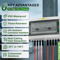 Boîtier de Combinaison Solaire CNLONQ 32A DC1000V 2 Entrées 2 Sorties IP65 avec Protection Contre les Surtensions et la Foudre pour Système d'Énergie Solaire