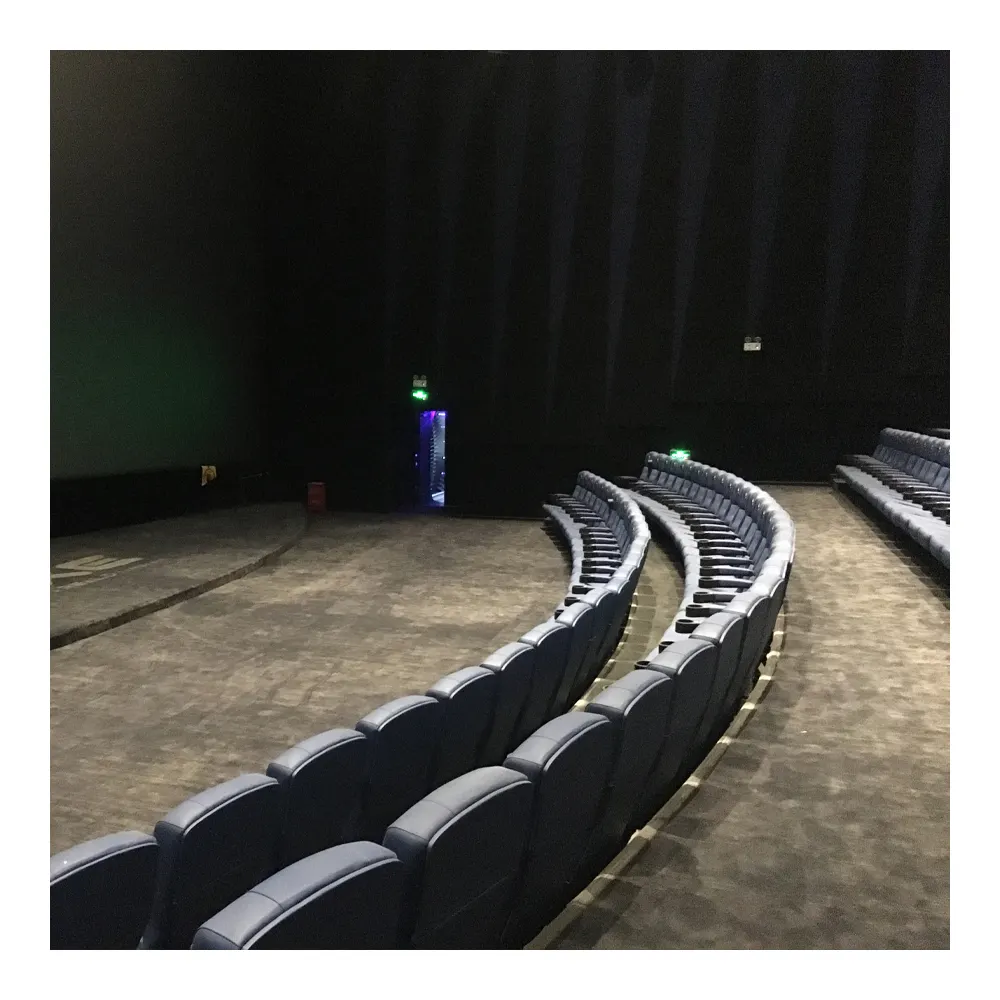 Hochwertiger Kino-Wilton-Teppich für modernes Theater Bedruckter Teppich von Wand zu Wand bedruckter Teppich