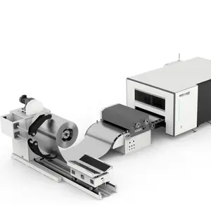 High efficiency leveling Coil steel flexible 1000w cnc laser cutting machine