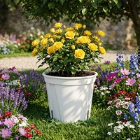 Pots de fleurs modernes et élégants en plastique blanc pour pépinière, jardinières verticales pour la maison, le bureau, avec drainage, pour plantes d'intérieur