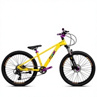 Vélo BMX personnalisé de 26 pouces avec cadre en alliage, pour le dirt jump, pour adultes et hommes, selle confortable, frein à disque, vélo ordinaire, Bicicletas MTB
