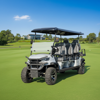 Voitures de golf électriques 8 places au design personnalisable, scooters de golf, buggy à prix abordables à vendre