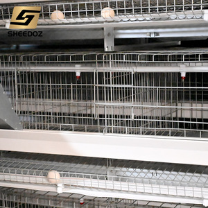 Nuova Gabbia Automatizzata a Strati per Polli Tipo H con Acciaio Zincato, Attrezzatura Completamente Automatica per l'Allevamento di Uova, Design Economico - Product Image 4