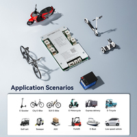 Sistema de gestión de batería con equilibrio para paquete de batería de litio Lifepo4 Bms, 12V, 5A, 10A, 15A, 20A, 30A, 50A, 80A, 100A