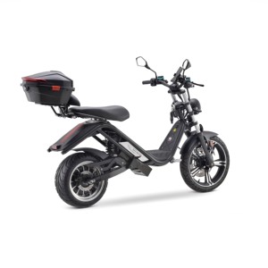 Moto électrique E-Thor 2000W/4000W Vitesse maximale 70 km/h Batterie au lithium 60V Streetbikes/Touring/Racing DOT & Coc - Product Image 6