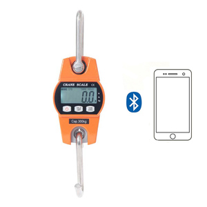 J&amp;R <strong>Wireless</strong> 200kg 300kg Heavy Duty Fishing <strong>Scale</strong> Hanging <strong>OCS</strong> <strong>Digital</strong> Mini <strong>Crane</strong> Weighing <strong>Scale</strong> with Bluetooth - Product Image 1
