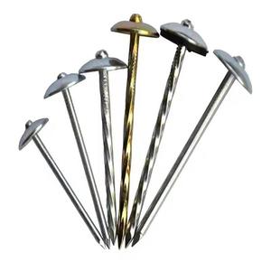 Il mercato del sud America ha galvanizzato i chiodi d'acciaio 9G con la rondella di gomma di plastica ha intrecciato i chiodi del tetto - Product Image 6
