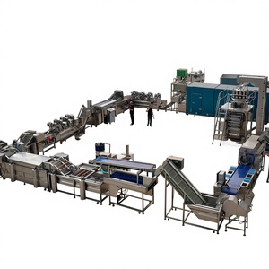 Longkun Fully Automatic Potato Processing Equipment - Commercial Potato Fries Production Line - Multi-functional in One Machine