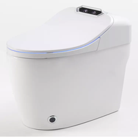 Céramique automatique sanitaire toilette sans eau électronique intelligente Closestool veilleuse toilette intelligente WC cuvette de toilette