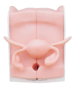 Model alat kontrasepsi perempuan canggih - Product Image 3