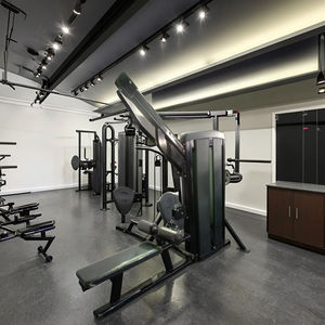 高級デュアルファンクションジムフィットネスマシン高品質クッション商用ピン荷重アームトレーニング用ラットプルダウン - Product Image 2