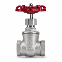 Vanne à opercule filetée en acier inoxydable 201 304 316 PN16, filetage NPT BSP femelle, pour coupure de conduite d'eau, pleine ouverture, surface lisse