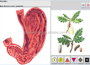 JYTOP 2026 NLS Bioplasm NLS Gezondheidsanalysator Batterij Di Analisi Oordopjes Afzonderlijk Verkrijgbaar - Product Image 3