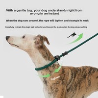 Laisse pour chien en nylon épais de 11 mm avec poignée en cuir personnalisée, anti-traction, robuste, 150 kg, pivotante, monobloc, type P-Leash