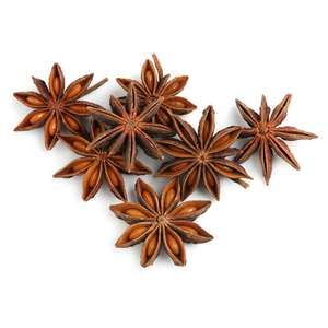 Anis étoilé indien frais de haute qualité, en gousses entières, pour le commerce commercial d'épices, les commandes en gros et l'exportation internationale - Product Image 1