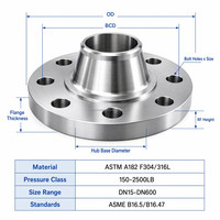 Bride aveugle en acier inoxydable 316L, conforme NACE MR0175, pour services pétrochimiques, norme ASME B16.5 CL300 RF, galvanisée à chaud