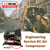 Compresseur d'air professionnel à double Piston, Machine de compression d'air, robuste et robuste, sans huile, cc, 12 V 48V, DC