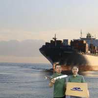 Çin'in En İyi 3 FBA Nakliye Firması Deniz Taşımacılığı Forwarder'ı LCL+Ekspres DDP Kapı Teslimi ABD/Kanada/İngiltere/Suudi Arabistan