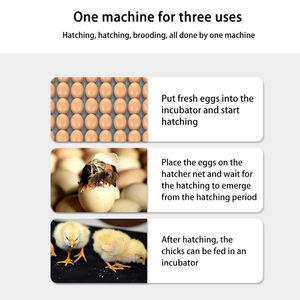 Completamente automatico a energia solare 15 uova di gallina incubatrice con pulcini piccoli scatole da cova incubatrice solare - Product Image 6