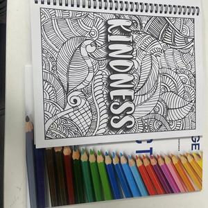 Tùy chỉnh OEM in ấn giá rẻ số lượng lớn hoàn hảo Ràng Buộc Hoa Vẽ Tranh Màu cuốn sách cho người lớn và trẻ em - Product Image 6