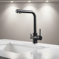 Robinet de cuisine moderne en acier inoxydable noir mat avec douchette latérale, à poser sur comptoir, 3 voies, double poignée, filtre purificateur céramique