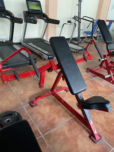 Ticari spor salonu Fitness eğim Pec yalan göğüs sinek makinesi plaka yüklü makineleri Fly eğim Pecs Fly plaka yüklü