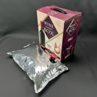 Sac BIB (Bag-in-Box) de 1L à 20L pour café, thé, jus, avec valve, sacs antiseptiques de 3L pour vin avec robinet, sac à boisson pour cocktails
