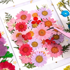 Pétalos de <span class=keywords><strong>Flores</strong></span> <span class=keywords><strong>Silvestres</strong></span> <span class=keywords><strong>Preservadas</strong></span>, <span class=keywords><strong>Flores</strong></span> Prensadas para Manualidades, <span class=keywords><strong>Flores</strong></span> Secas Planas para Resina, <span class=keywords><strong>Flores</strong></span> Prensadas para Manualidades y Marcos - Product Image 4