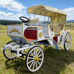 عربة سياحية للنزهات الخارجية بثلاثة صفوف وتسعة مقاعد، عربة خيول كهربائية - Product Image 4