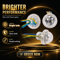 Lampes LED SHIJI RGB 26 mm 3 LED en matériau PC, éclairage de manèges de parc d'attractions, programmables 12 V, éclairage de manèges de fête foraine