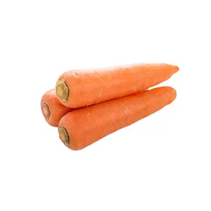 Fourniture de carotte fraîche nouvelle récolte de carton de 10kg avec le meilleur prix de la carotte de Chine