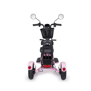 Tricycle électrique Jiuxin pliable de 10 pouces pour personnes âgées et déplacements familiaux et loisirs - Product Image 4