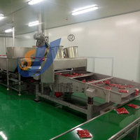 Nieuwe turnkey project tomatenpuree verwerkingsinstallatie automatische drankenproductielijn warmtewisselaar roestvrij staal