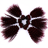 Extensions de cheveux humains brésiliens bouclés crépus 6 pièces 99J Jerry Curly pour femme, 100% cheveux Remy, tissage à double trame