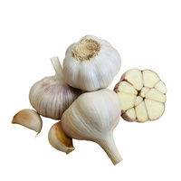 Prix CIF 2026 pour l'ail blanc de Valparaíso au Chili, ail blanc pur frais chinois 4p